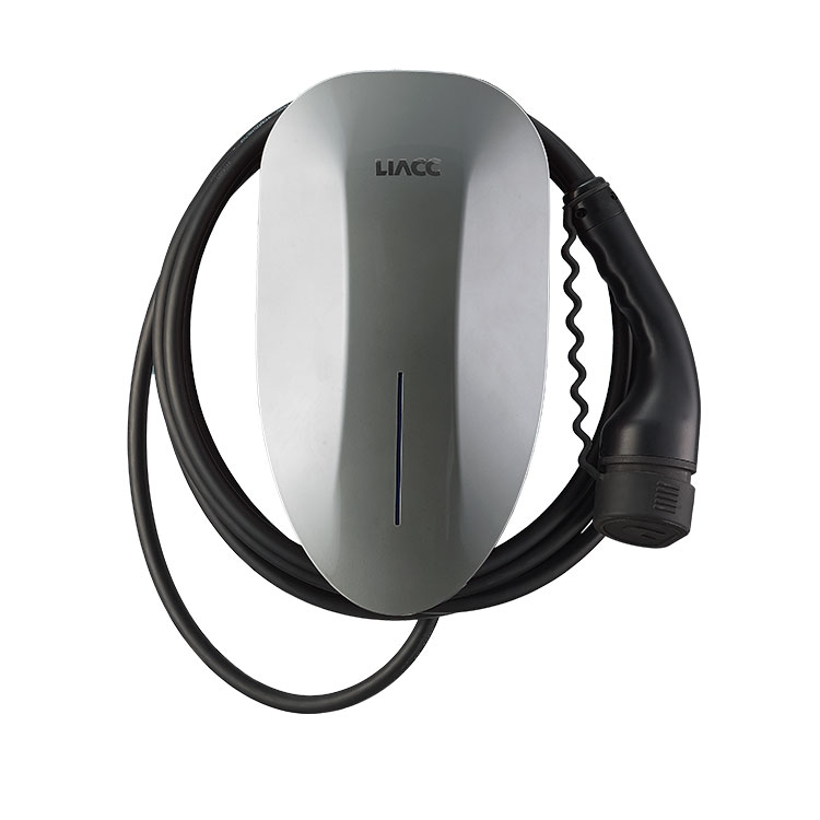 Does AC EV Charger has a huge market