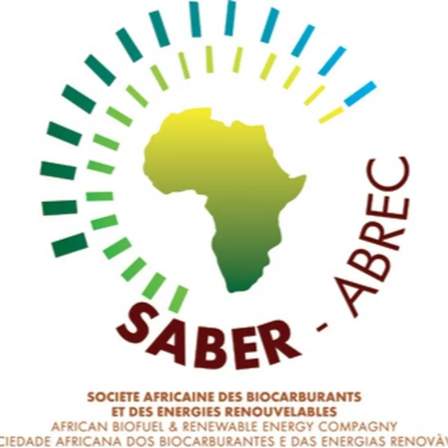 Grid Tied/off Grid/Hybrid Solar System 30kw 50kw 100kw Solar Panels System with Bluesun Solar Panels